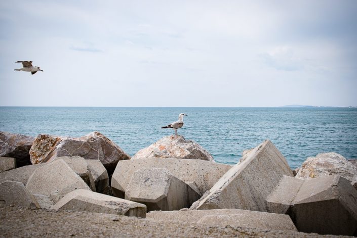 Plage de Carnon - Montpellier