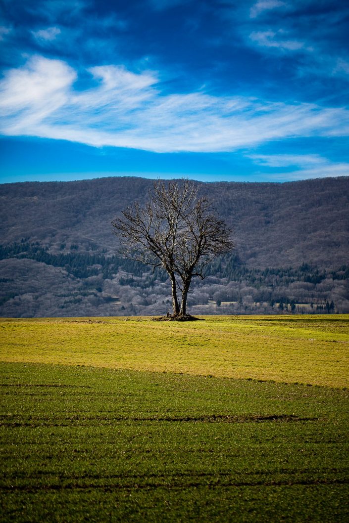 Haute-savoie Plateau de Jurens