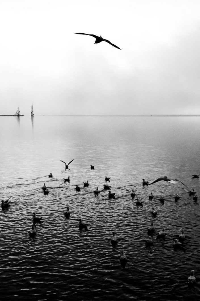 Lac d'Annecy