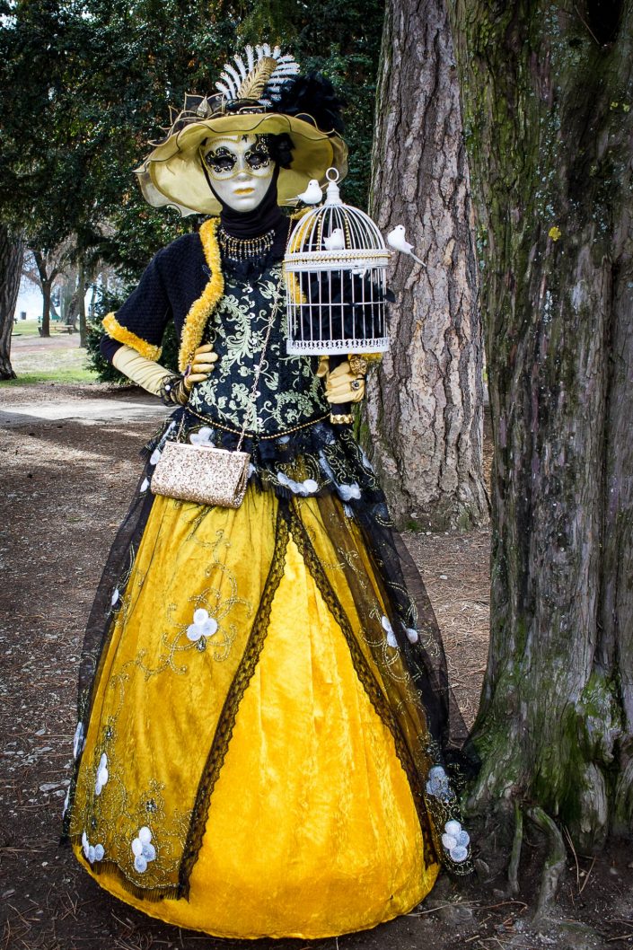 Carnaval vénitien à Annecy