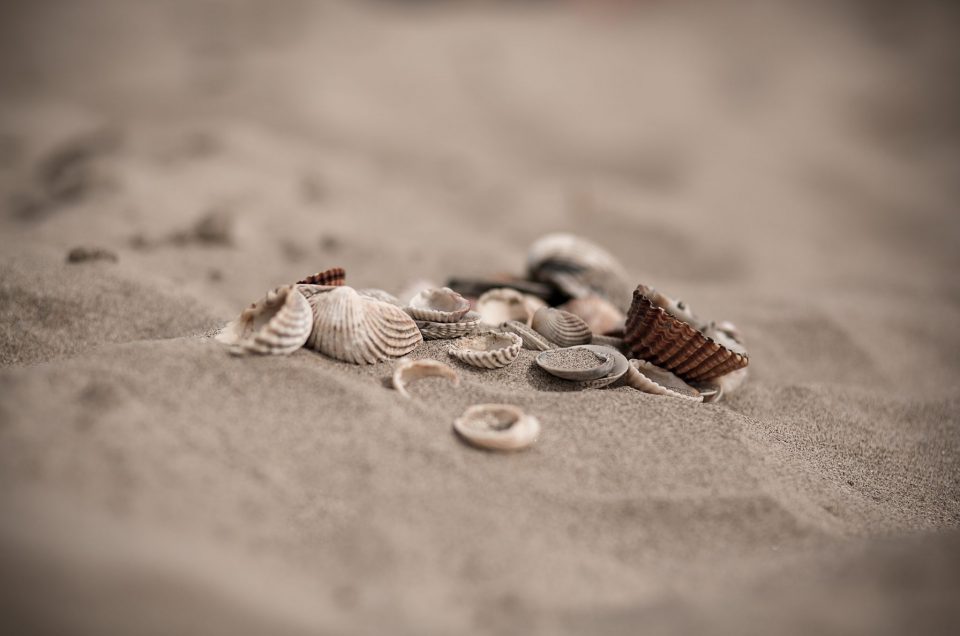 Comment réussir ses photos de vacances?