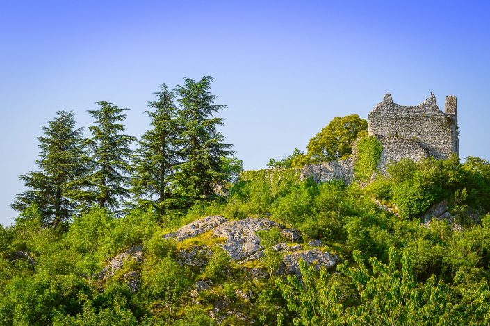 Chaumont et son château (74)