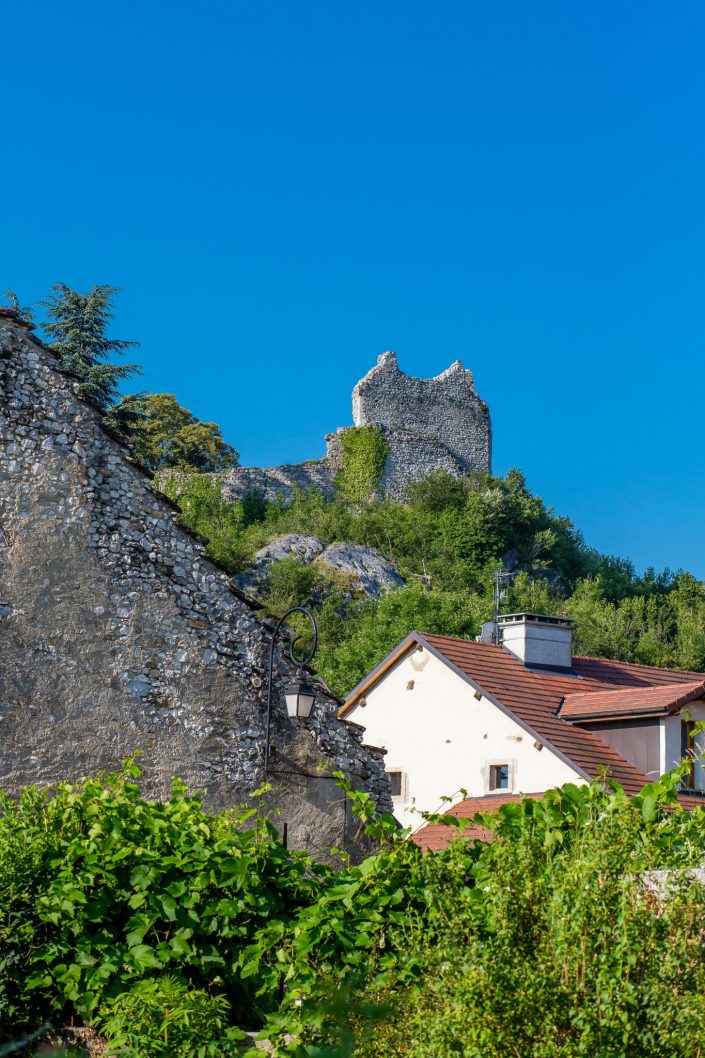 Chaumont et son château (74)