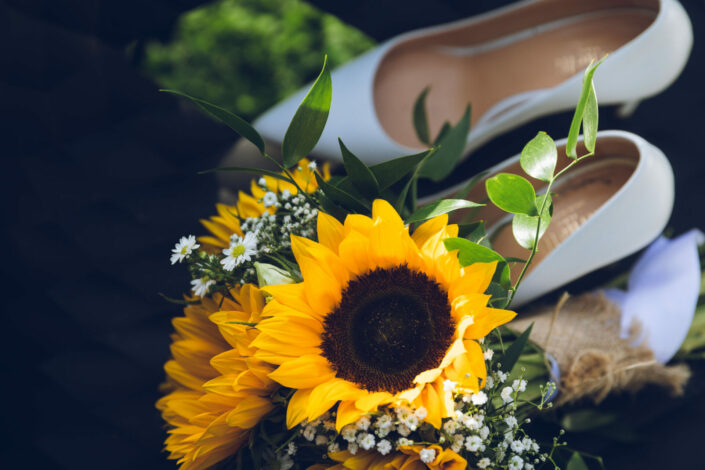 Photographe de mariage - Haute-Savoie - Annecy - Minzier - Genève - photos en extérieur Minzier - Frangy - Val des usses - Viry - Valleiry