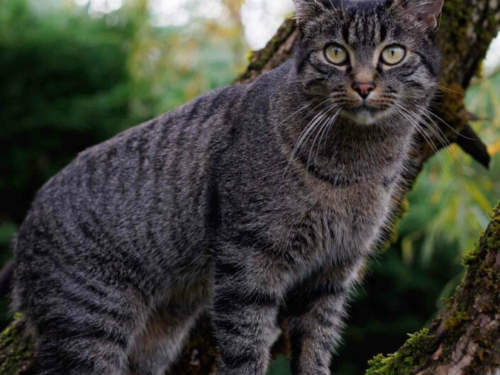 Cours photos pour enfants et ados - Ateliers photos enfant et ados - Cours de photographie à Minzier - Haute Savoie - Annecy - Genève - Frangy - Val des usses - Viry - Valleiry - Lac Léman - Thonon les bains - Evian les bains - Photographe de Haute-Savoie, Annecy - Apprendre la photos de manière ludique pour les enfants